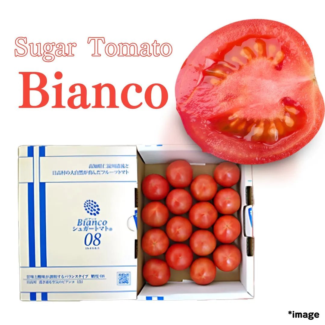 "Bianco 8° Brix Sugar Tomato”, approx.800g/box, from Kochi [Delivery between 28th Feb~1st Mar] - Tokyo Fresh Direct