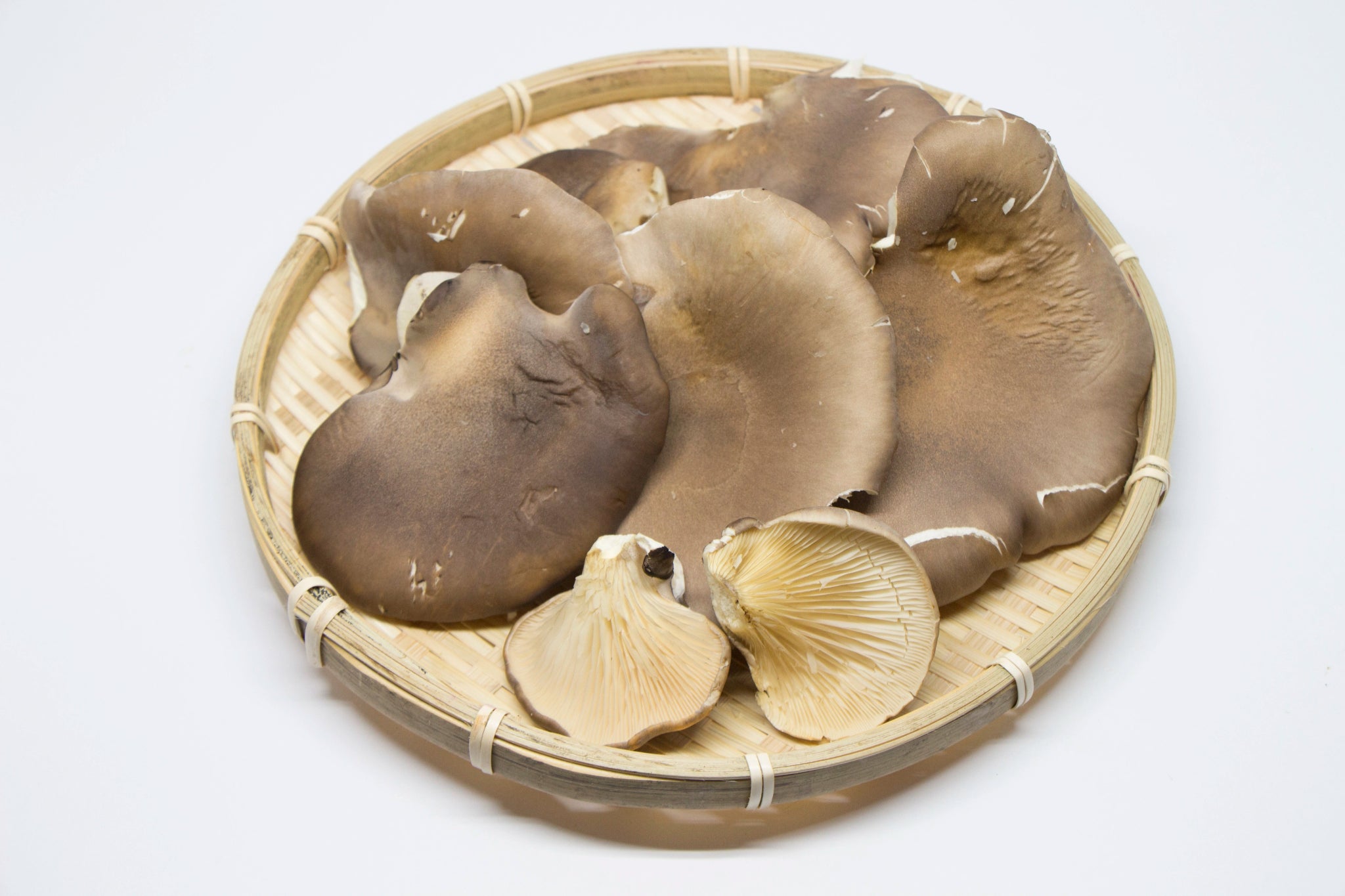 Black Awabi Mushroom - Tokyo Fresh Direct