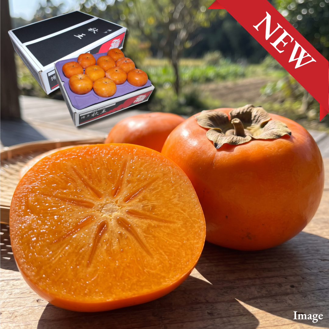 Branded Fukuoka Persimmon “Akioh (L~3L-size/Rare Fruits)”,Born from Two of Japan’s Most Celebrated Persimmon Varieties, Named the “Autumn King” | Delivery: 6th~7th Nov - TFD (Tokyo Fresh Direct)