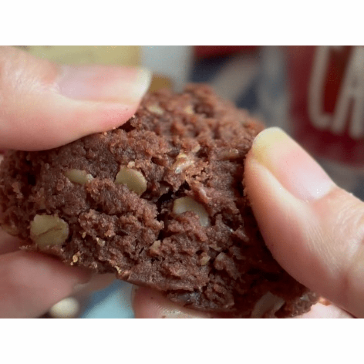 Bunbuku Baked Cookie Soft R Cacao & Rum Raisins - Tokyo Fresh Direct