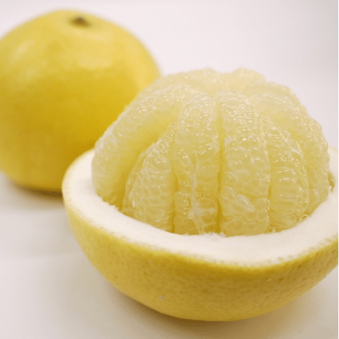 Buntan Citrus Pomelo - Tokyo Fresh Direct