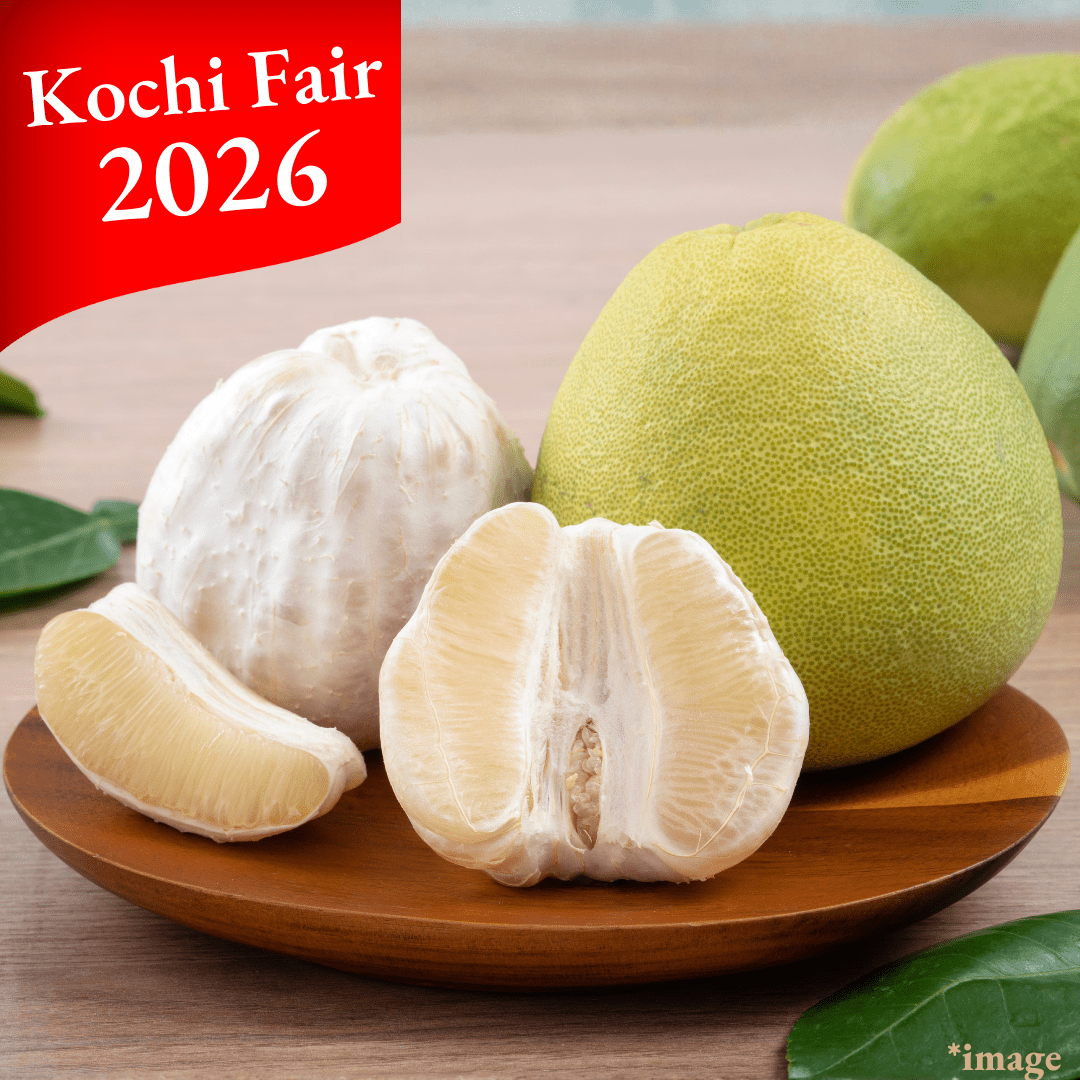 ”Buntan(High Grade/3 - 4L)”, Approx.1.2kg(2pcs) | Delivery: 6th - 7th Feb [Kochi Fair 2026] - Tokyo Fresh Direct