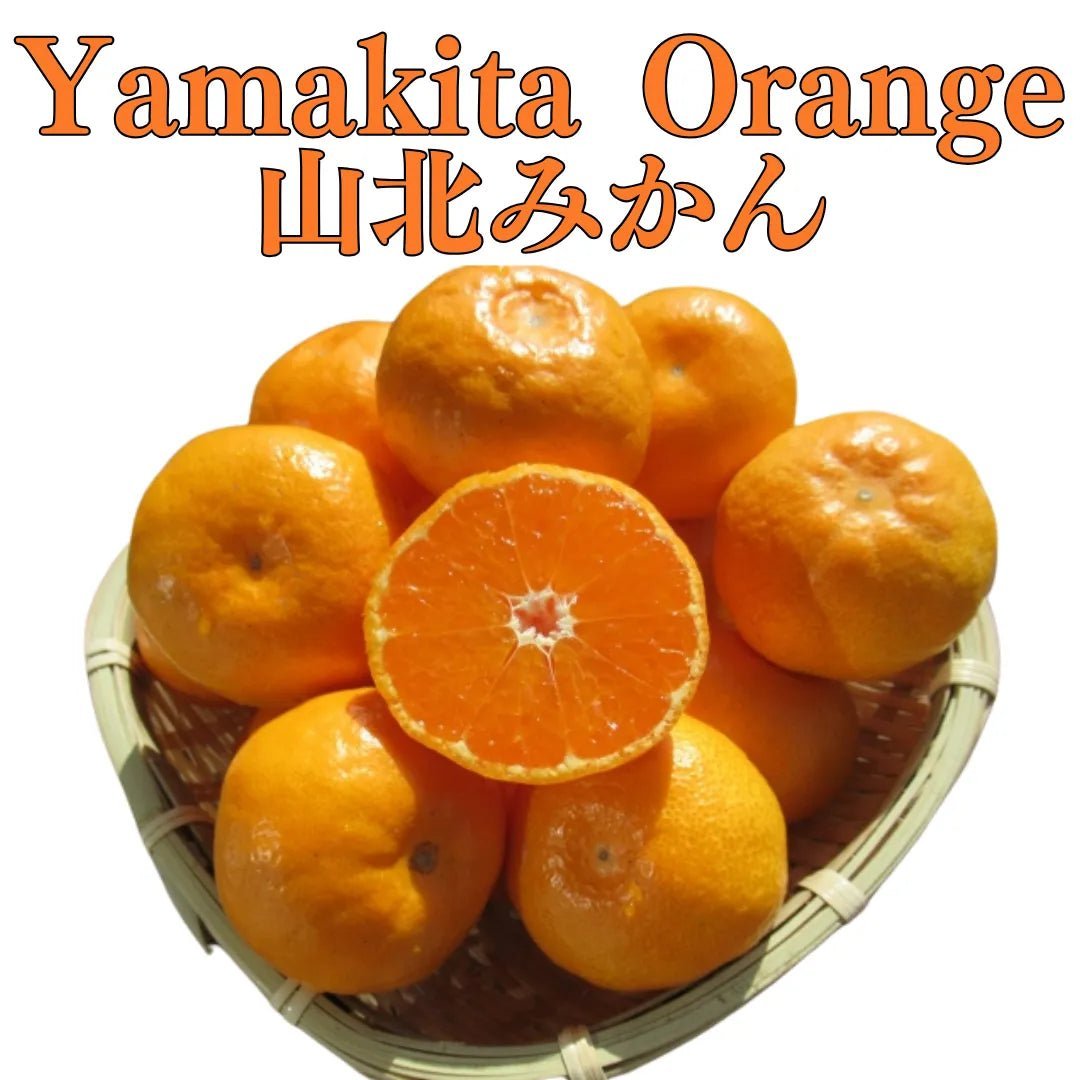 Chinese New Year Special BOX "Yamakita Orange (High Grade)" approx.800g/8pc, traditional oranges with exquisite sweetness and rich depth of flavor from Kochi [Delivery between 10th~25th Jan] - Tokyo Fresh Direct