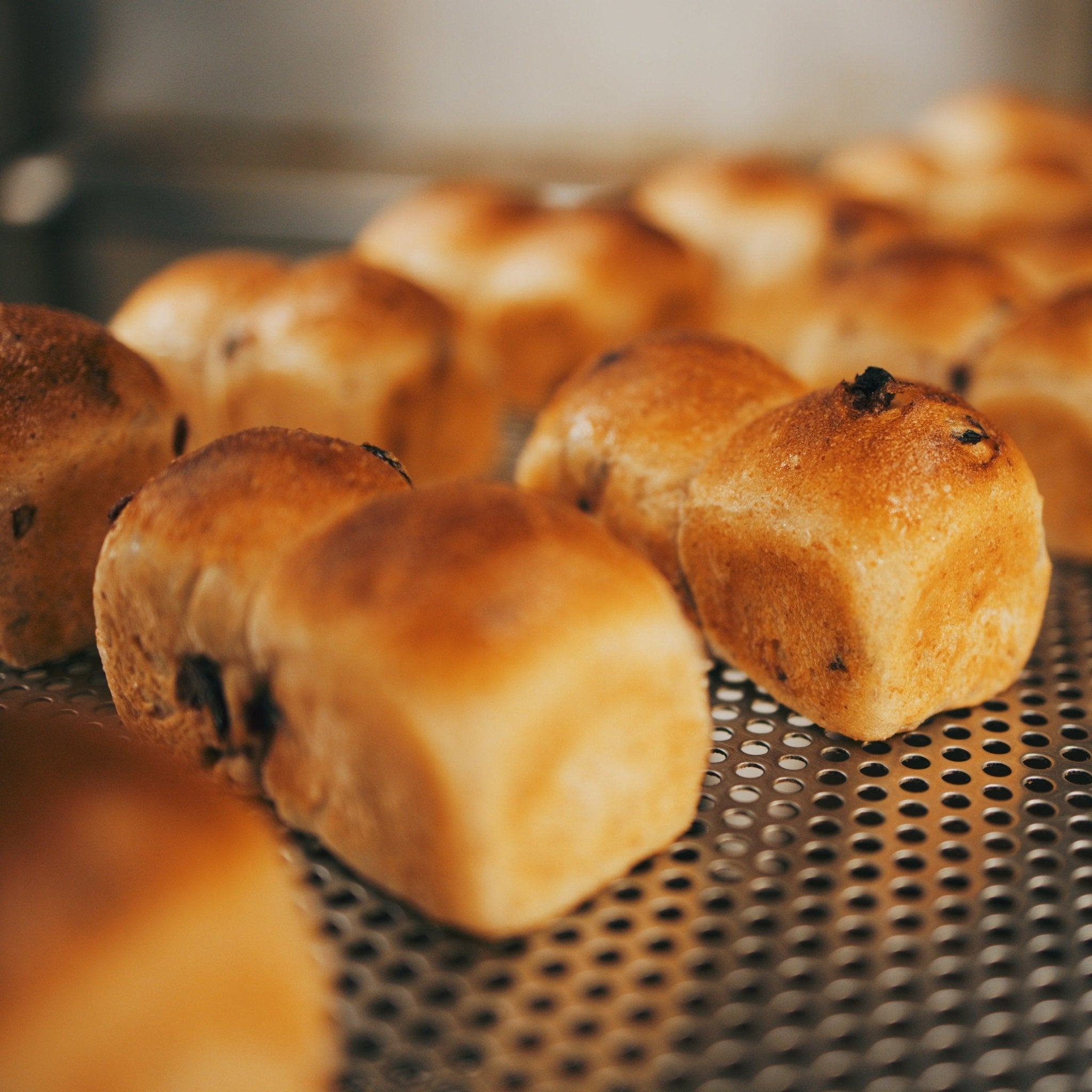 Cranberry & Honey Bread Anuil - Tokyo Fresh Direct