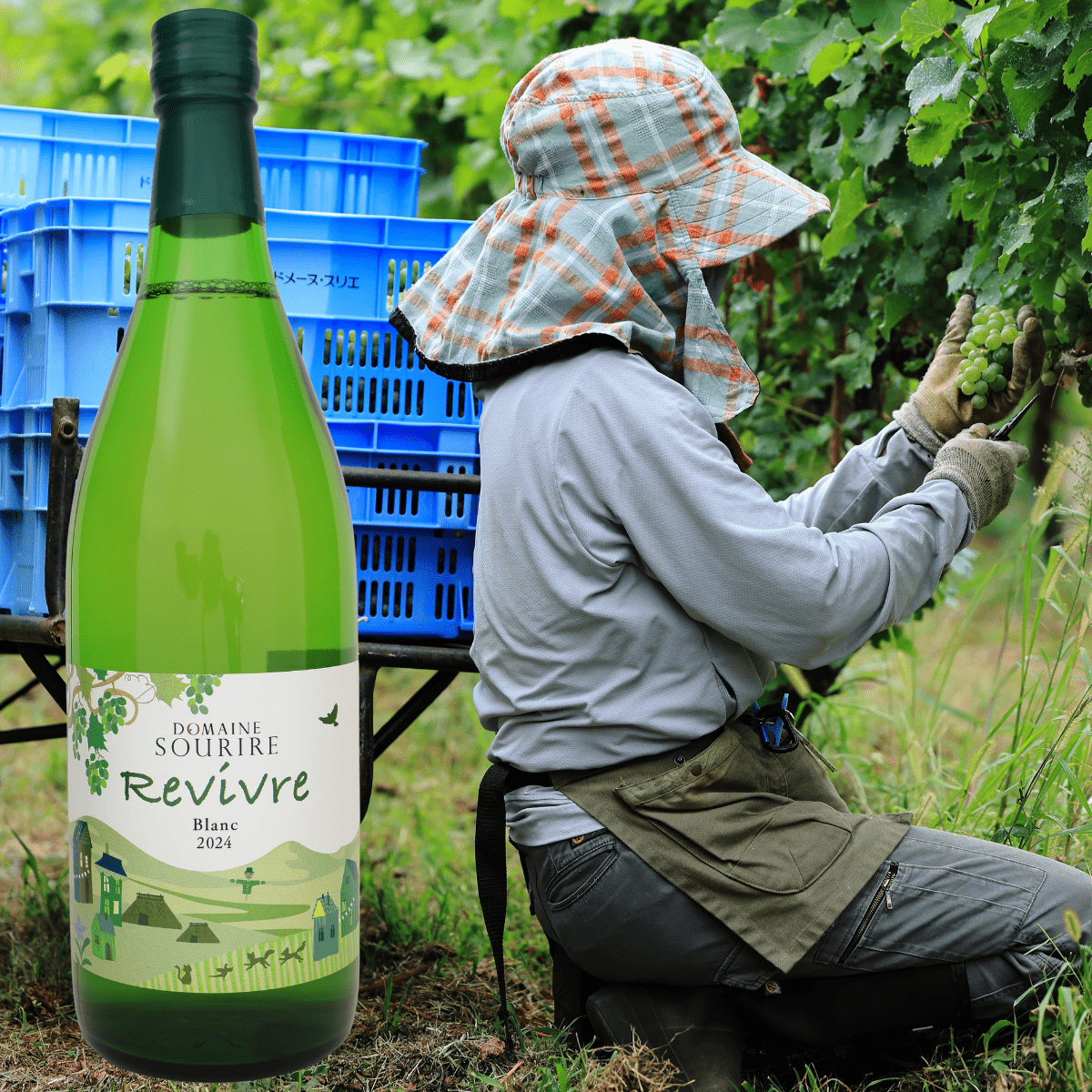 DOMAINE SOURIRE Domaine Sourire Revivre Niagara Dry Blanc Wine 2024 - Tokyo Fresh Direct