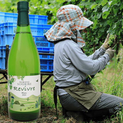 DOMAINE SOURIRE Domaine Sourire Revivre Niagara Dry Blanc Wine 2024 - Tokyo Fresh Direct