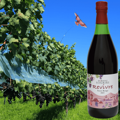 DOMAINE SOURIRE Revivre Concord Sweet Rouge Wine 2023 720ml ABV.11% - Tokyo Fresh Direct