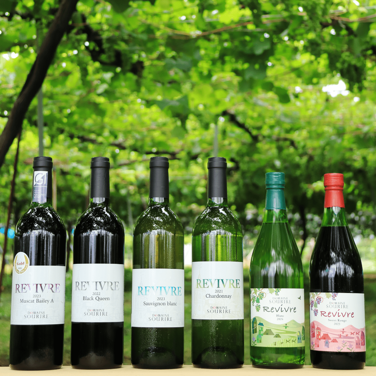 DOMAINE SOURIRE Revivre Concord Sweet Rouge Wine 2023 720ml ABV.11% - Tokyo Fresh Direct