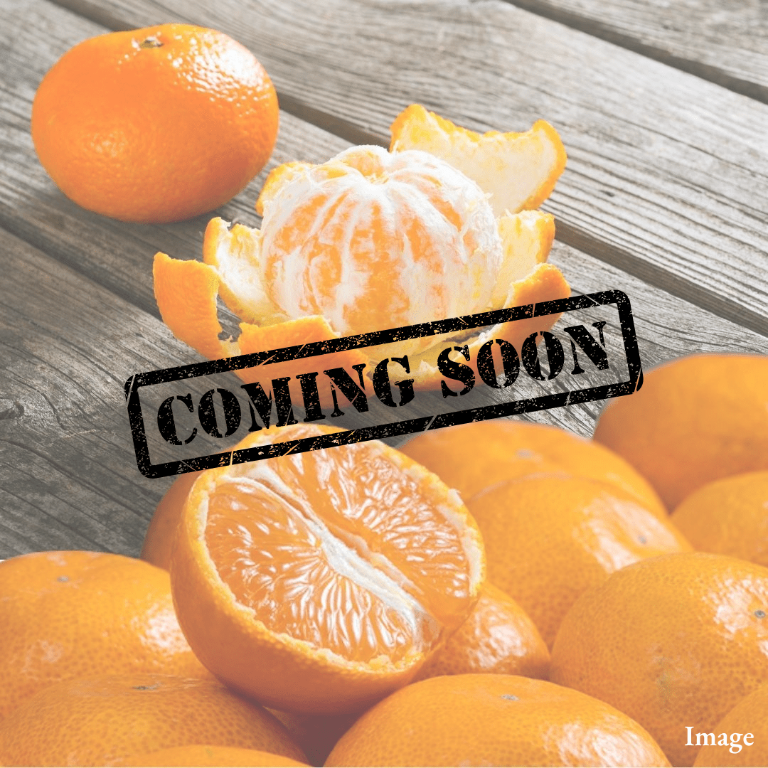 "Dream's Blessing (TFD Bestsellers/High Grade)", Crafted by the 1% - 14° Brix Premium Mikan | Delivery: 6th~7th Nov - TFD (Tokyo Fresh Direct)