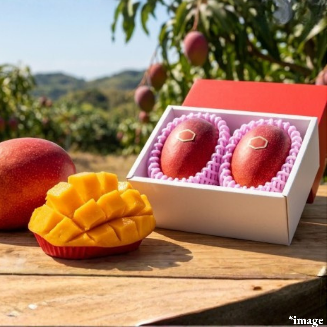 Egg of the Sun “Taiyo no Tamago(Top Grade/700g Giftbox)", The Highest - Ranked Mango Brand in Japan" from Miyazaki | Delivery: 15th - 16th May - TFD (Tokyo Fresh Direct)