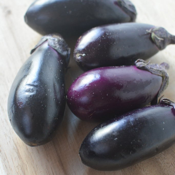 Eggplant - Tokyo Fresh Direct