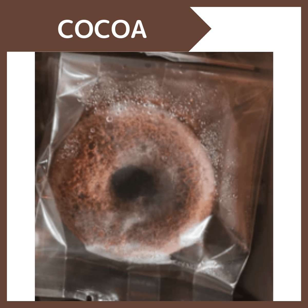 FLC Design Special Doughnut NINE Cocoa - Tokyo Fresh Direct