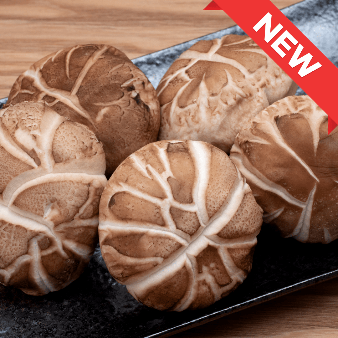 Forest Crown Donko Shiitake 1pack (approx. 260g) | Delivery: 30th - 31th Jan - Tokyo Fresh Direct