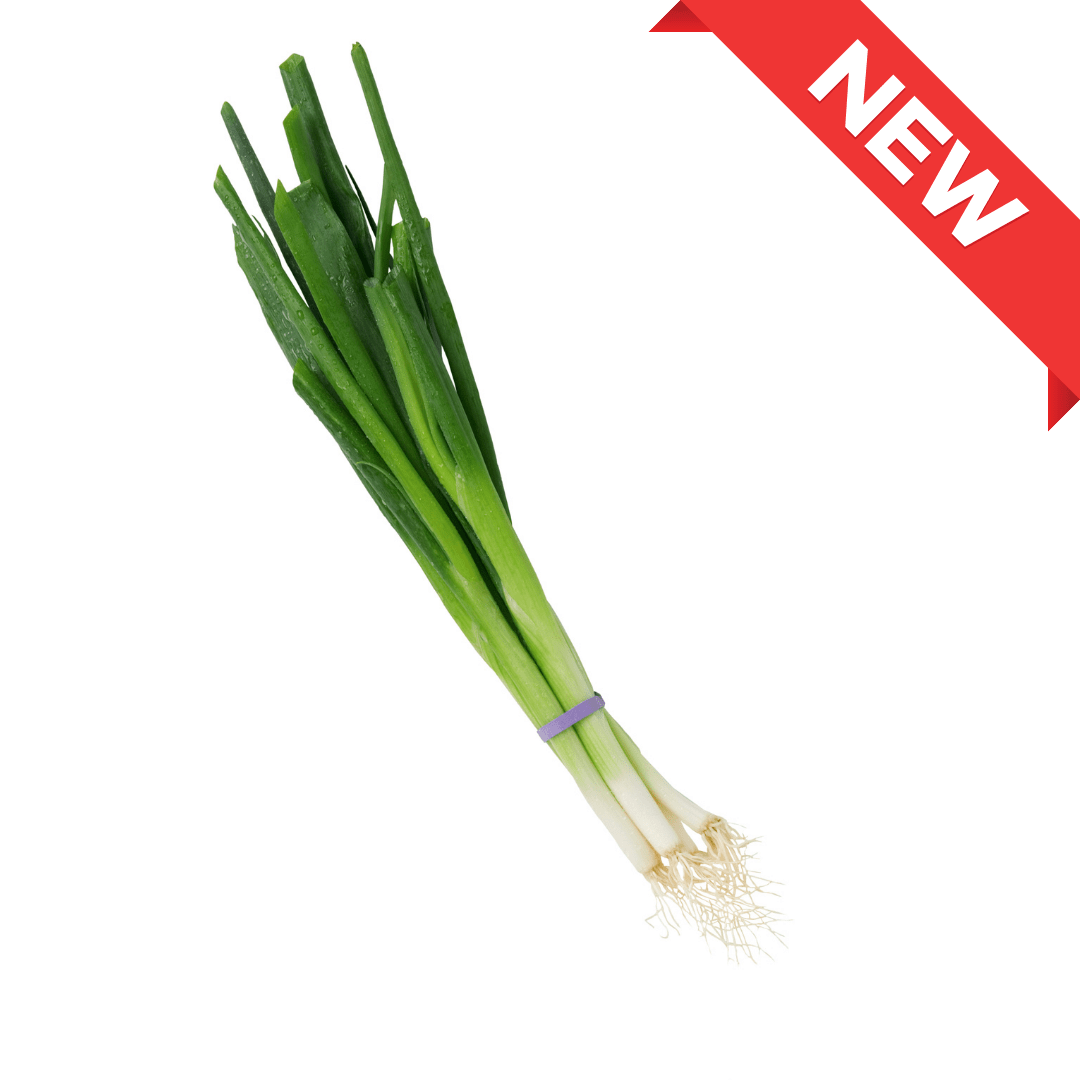 Fresh Nagano Leek 1pc (approx. 160g) | Delivery: 12th~13th Sep - Tokyo Fresh Direct
