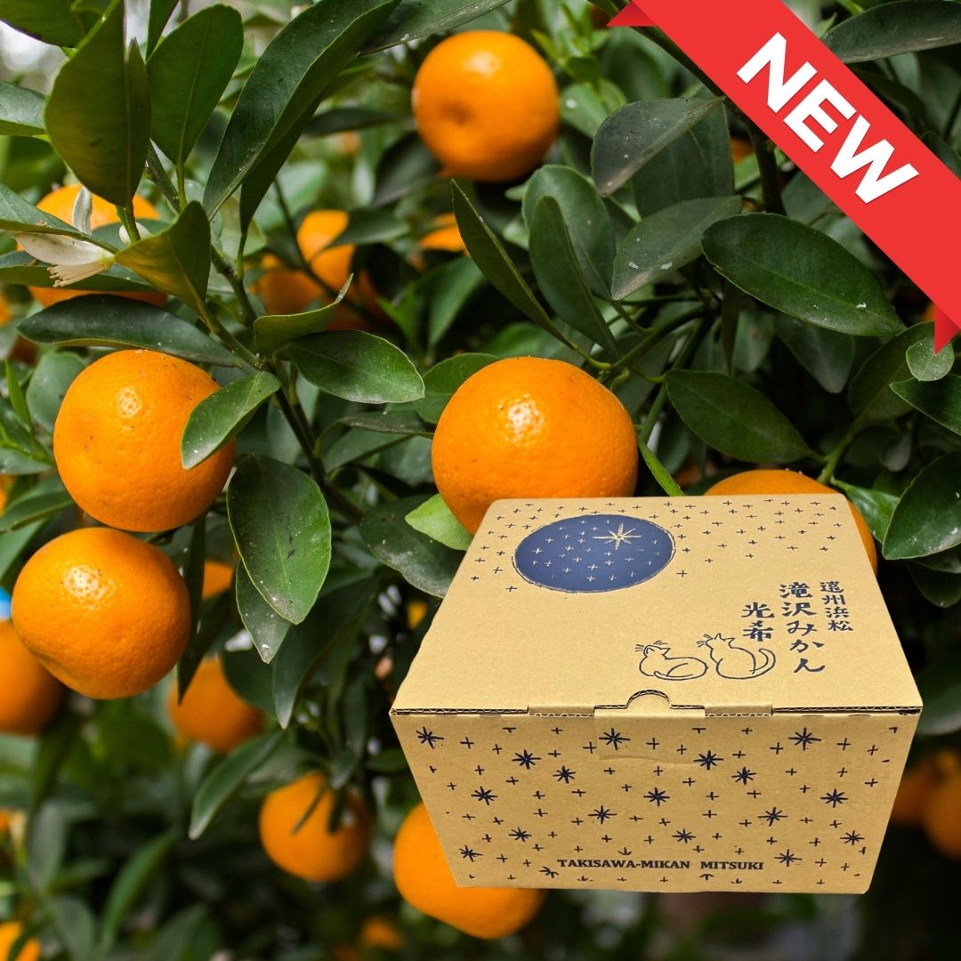 FRONTIER WORKS Shizuoka Mikan MITSUKI Classic Taguchi Wase 2kg - Tokyo Fresh Direct