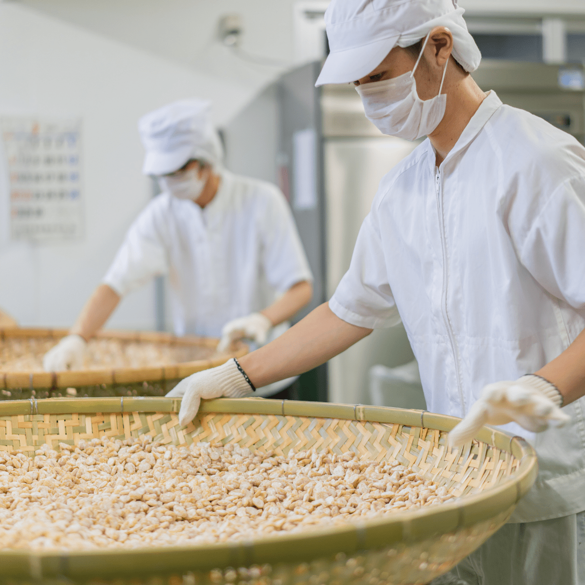 FUJITA CHERRY MAME Beans Collection Fava Beans Snack Nori Seaweed - Tokyo Fresh Direct