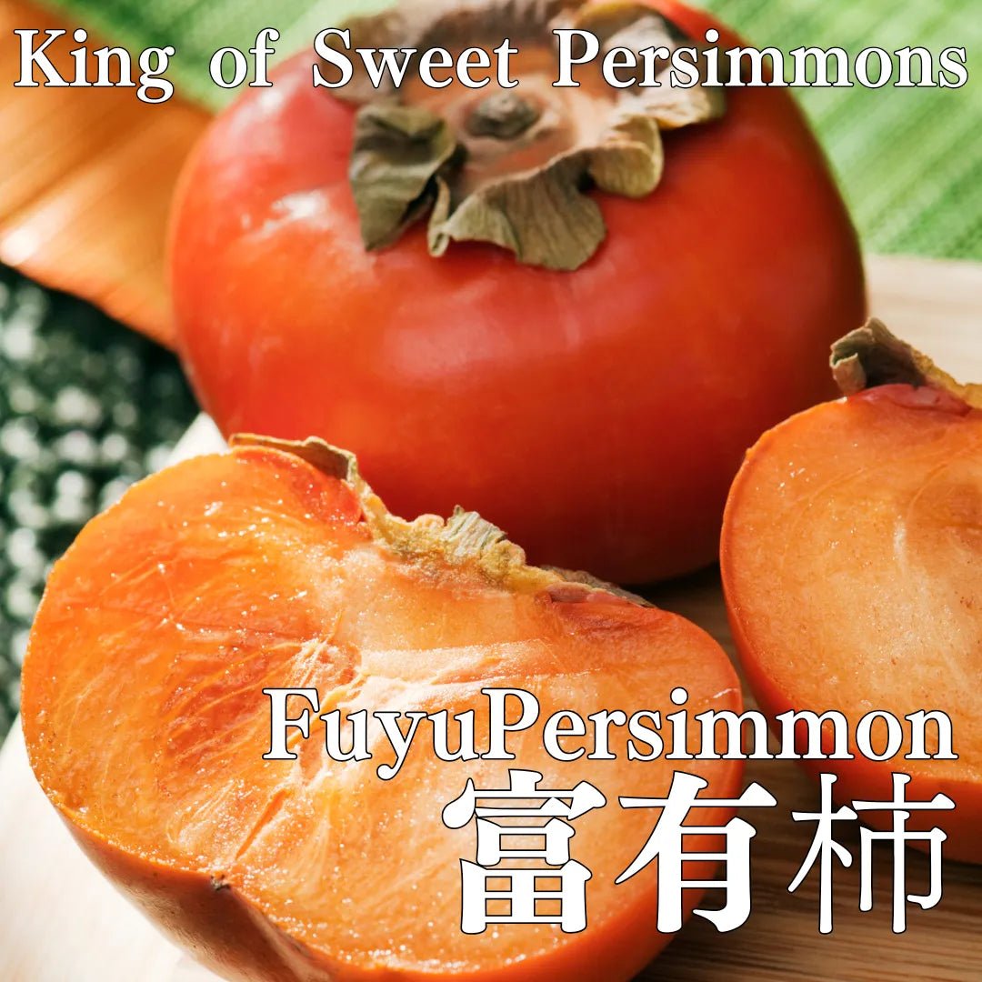 "Fuyu Persimmon (High Grade)" approx.500g/2pc, “King of Sweet Persimmons” with high sugar content, from Gifu [Delivery between 29th~30th Nov] - Tokyo Fresh Direct