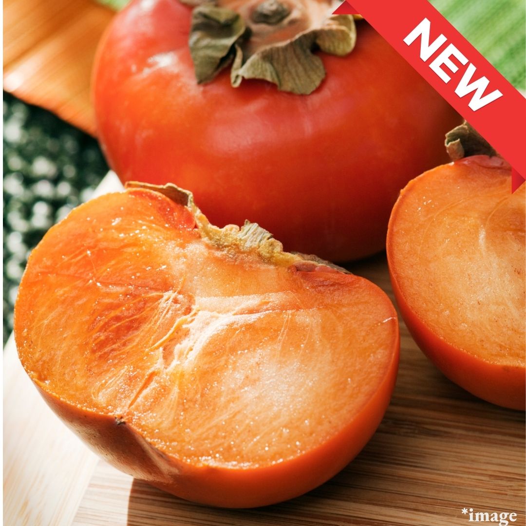 "Fuyu Persimmon (High Grade)", King of Sweet Persimmon from Fukuoka(2pcs/approx.400g+) | Delivery: 31th Oct - 1st Nov - Tokyo Fresh Direct