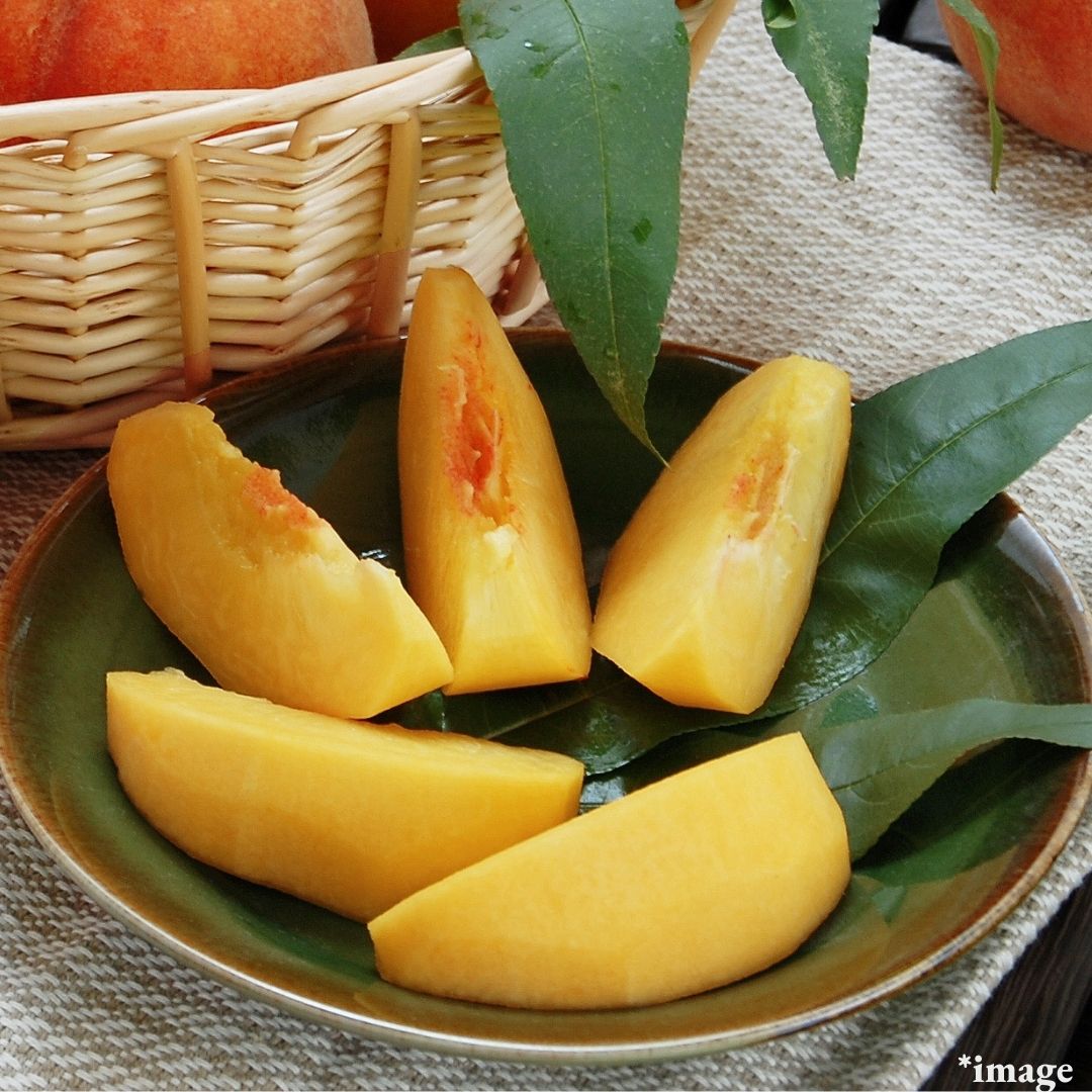 "Golden Peach of Tendo City (Top Grade)", from Japan’s Superior Production Area, Gift Box/6pcs(approx.2kg) | Delivery: 12th~13th Sep - Tokyo Fresh Direct