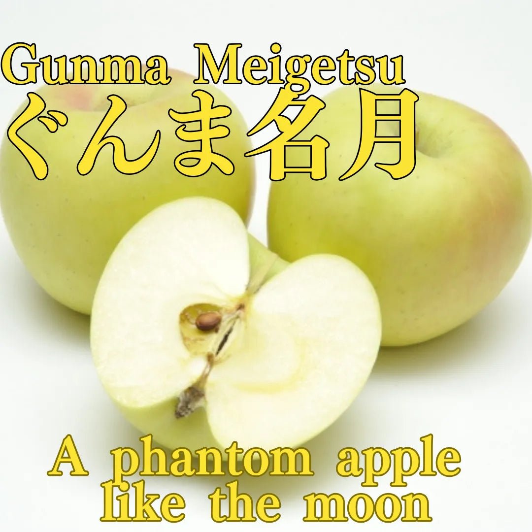 "Gunma Meigetsu (High Grade)" approx.500g/2pc, a phantom apple as beautiful as the moon from Aomori [Delivery between 29th~30th Nov] - Tokyo Fresh Direct