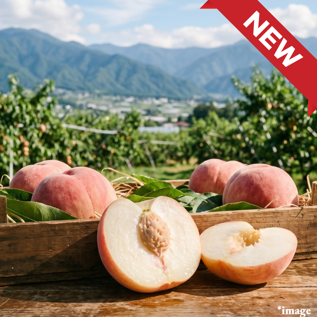 "Hakuho(High Grade/2L-size)", High-Brix sweetness. Low acidity. Dripping with juice., Approx.600g+(2pcs) | Delivery: 10th-11th Jul - TFD (Tokyo Fresh Direct)