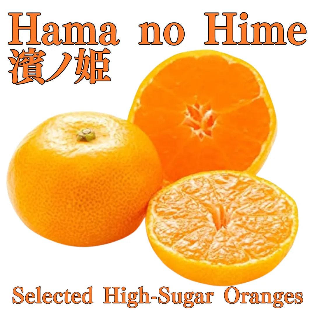 "Hama no Hime (Top Grade)" approx.500g, Selected High - Sugar Oranges Blessed by the "3 lights" from Ehime [Delivery between 13th~14th Dec] - Tokyo Fresh Direct