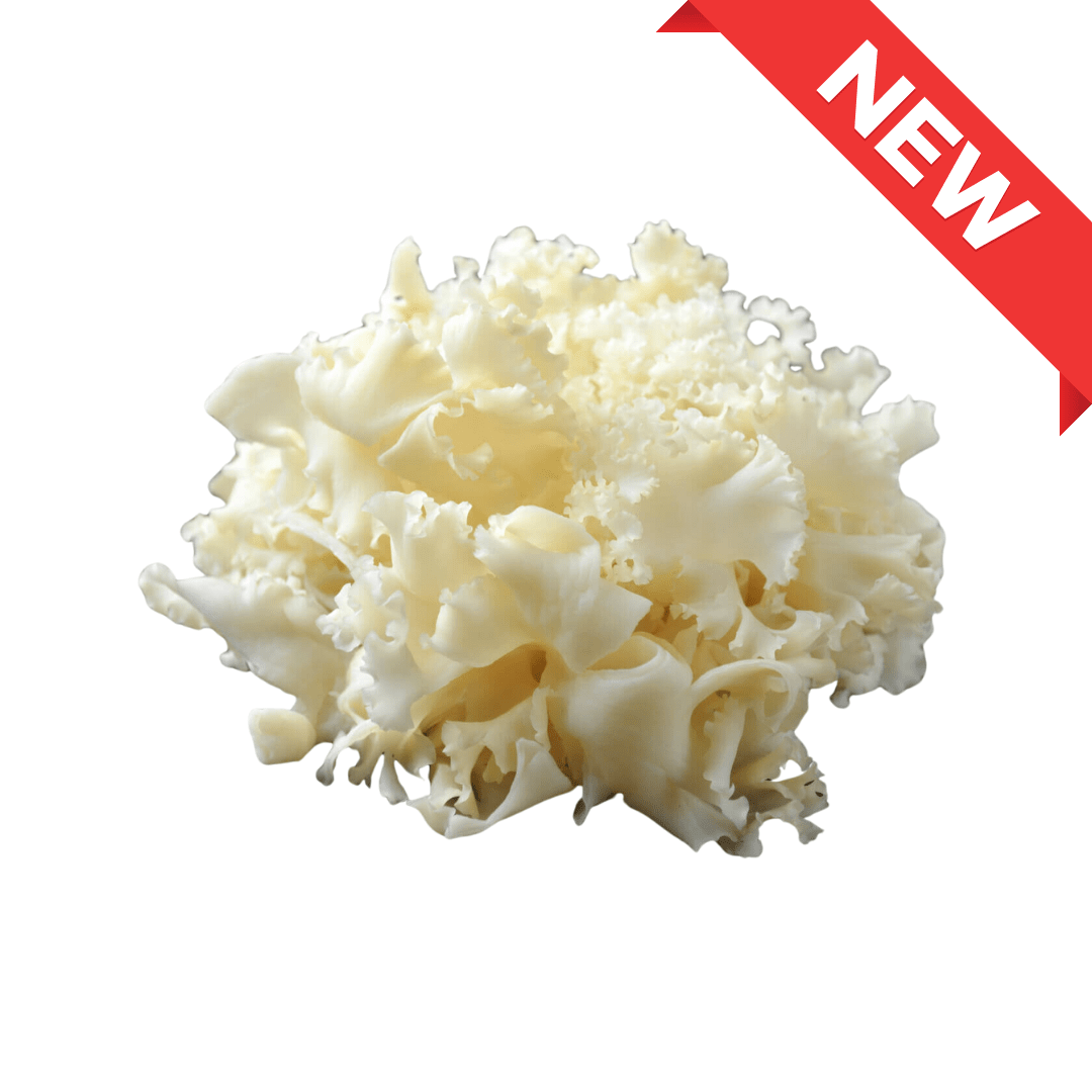 Hanabira - take (Wood Cauliflower Mushroom) 1pack (approx. 100g) | Delivery: 12th~13th Sep - Tokyo Fresh Direct