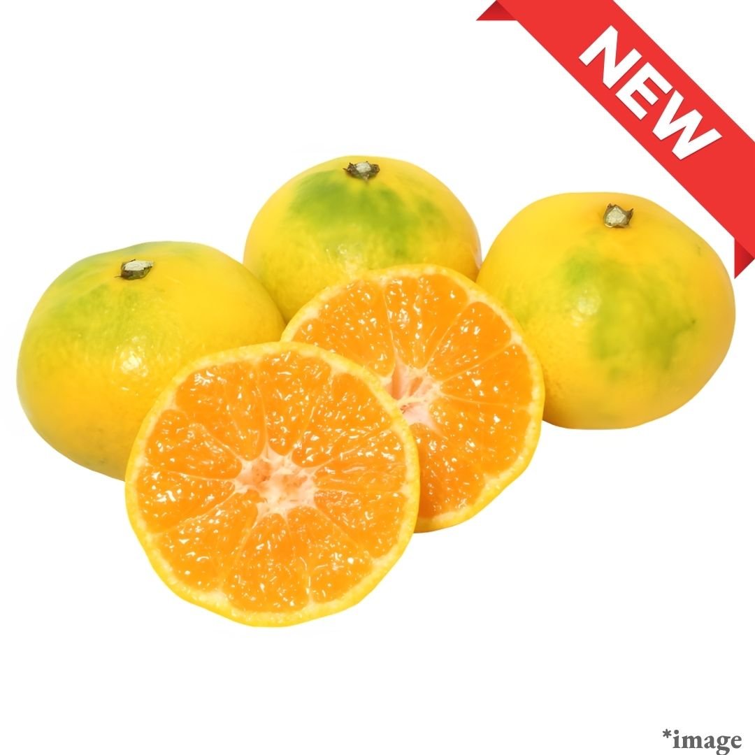 "Hi no Sakigake (High Grade)", A Premium Kumamoto Brand Mikan Selected for Its High Brix and Low Acidity, (approx.500g) | Delivery: 24th - 25th Oct - Tokyo Fresh Direct