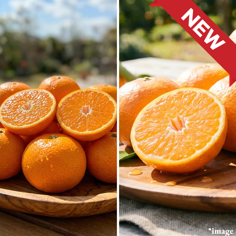 [High - Brix Mikan Tasting Set] Karamandarin & Natsumi, Approx.1.5kg | Delivery: 1st - 2nd May - TFD (Tokyo Fresh Direct)