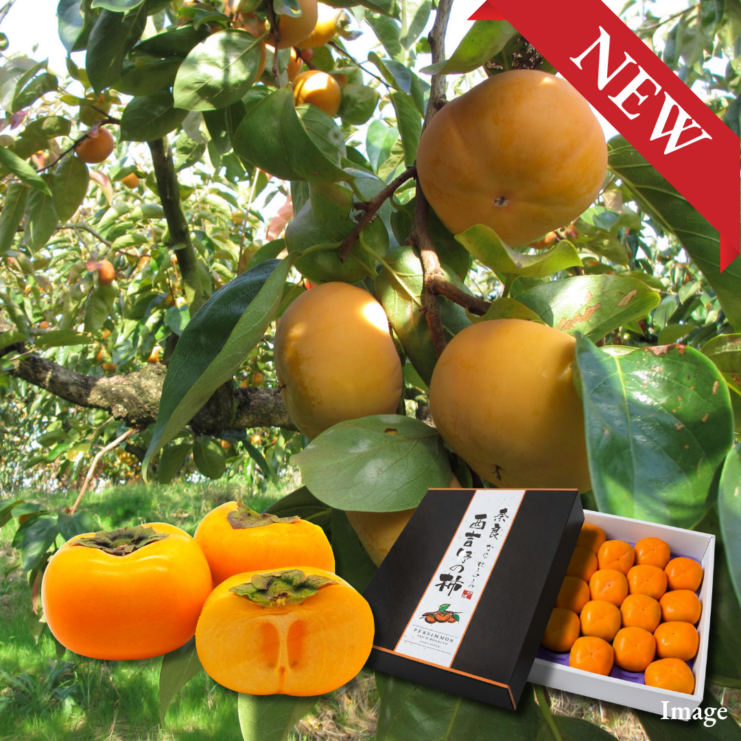 "Hira Seedless Persimmon (2L-size/High Grade)", Nara’s Tender, Juicy Autumn Classic, Naturally Seedless | Delivery: 30th~31th Oct - TFD (Tokyo Fresh Direct)