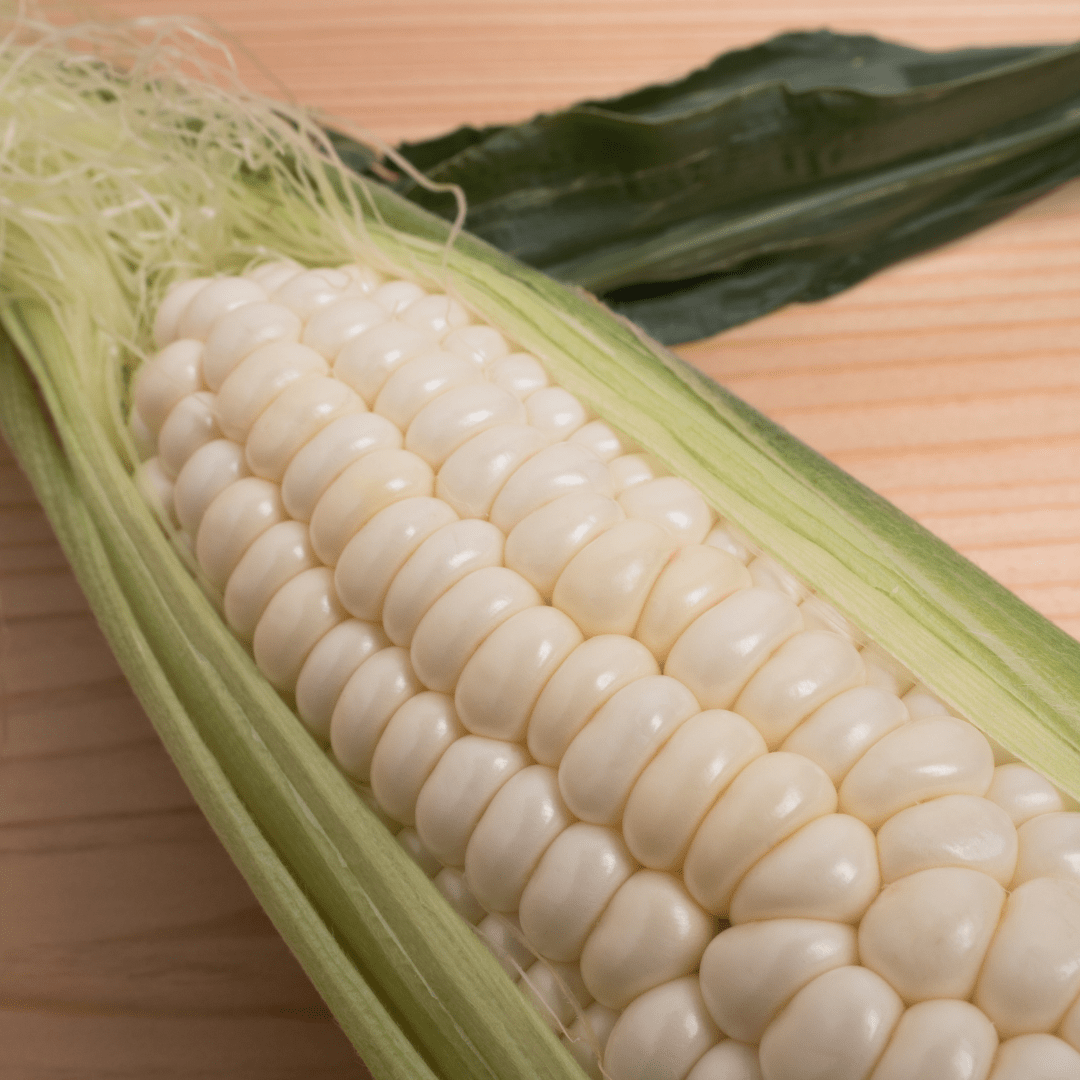 Hokkaido Snow Corn from Hokkaido, approx. 1.2kg/4pcs | Delivery: 22nd~23rd Aug - Tokyo Fresh Direct