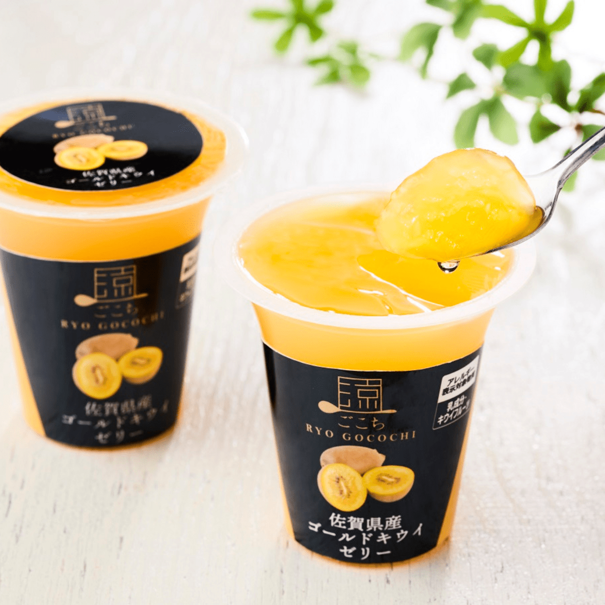 HOKUSHIN FOODS "Ryo - Gokochi" Saga Golden Kiwi Premium Jelly - TFD (Tokyo Fresh Direct)