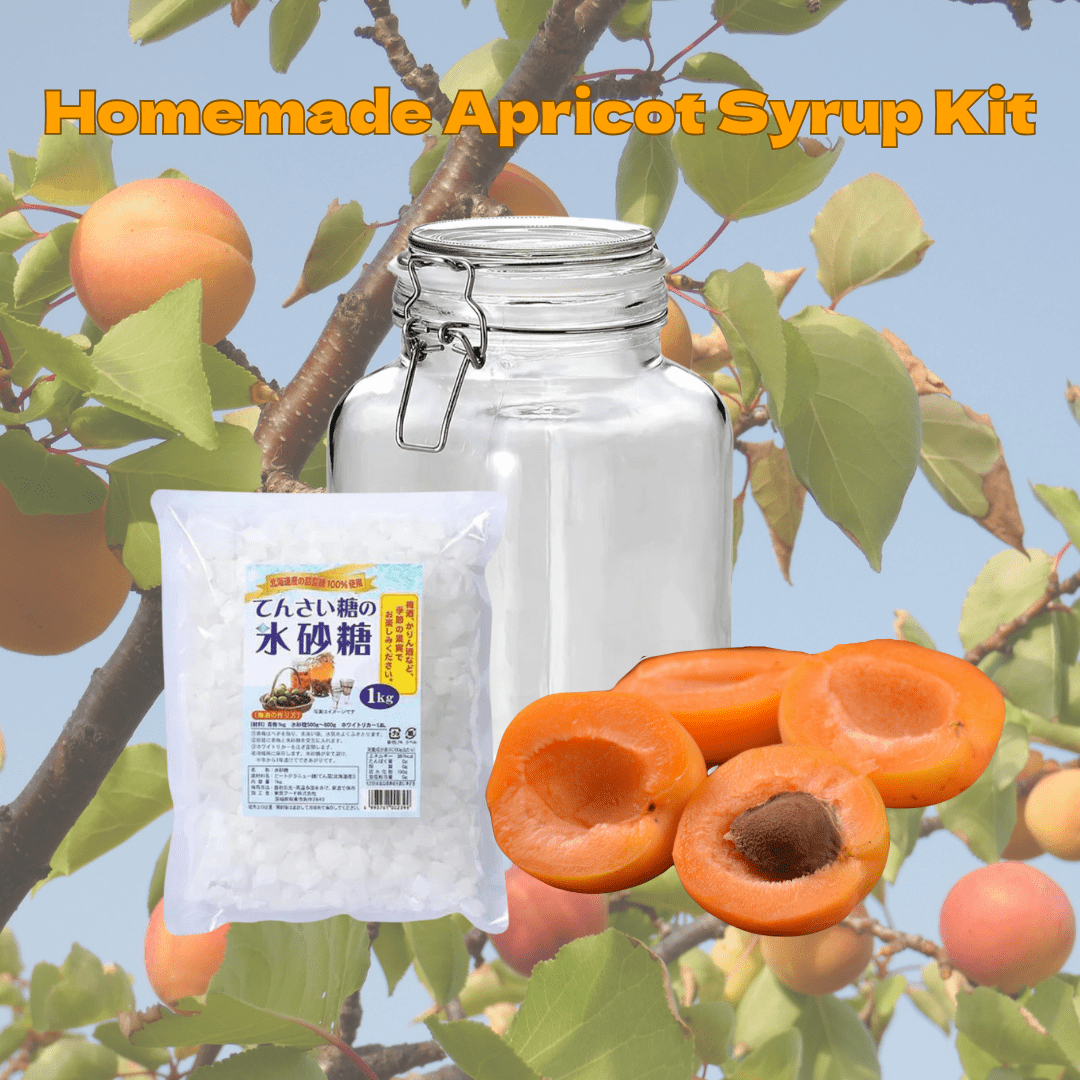 Homemade Apricot Syrup, Sake 杏露酒 (Shinruchu) Set Craft Your Own Liqueur | Delivery: 27th~28th June - Tokyo Fresh Direct