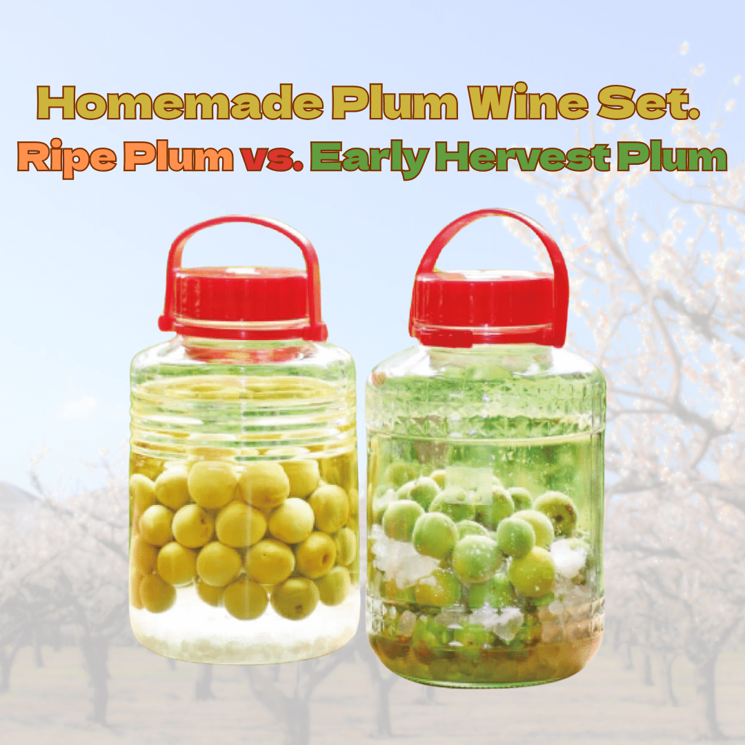 Homemade Plum Wine Set. Ripe Plum vs. Early Harvet Plums [13th ~ 14th June Delivery] - Tokyo Fresh Direct