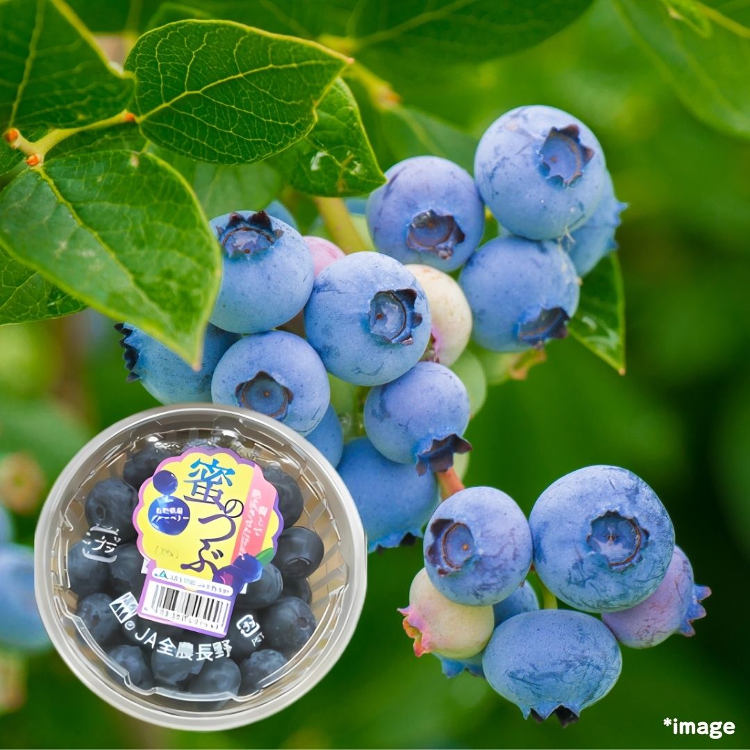 Honey Ball Berries "“Mitsu‑no‑Tsubu (High Grade)", sweet and delicious, fully ripened, large berries from Nagano, approx.100g/12pcs | Delivery: 27th～28th June - Tokyo Fresh Direct
