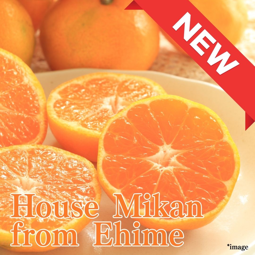 “House Mikan (High Grade)", Juicy, Sweet, Delicately Thin Peel from Ehime, approx.500g | Delivery: 1st~2nd Aug - Tokyo Fresh Direct