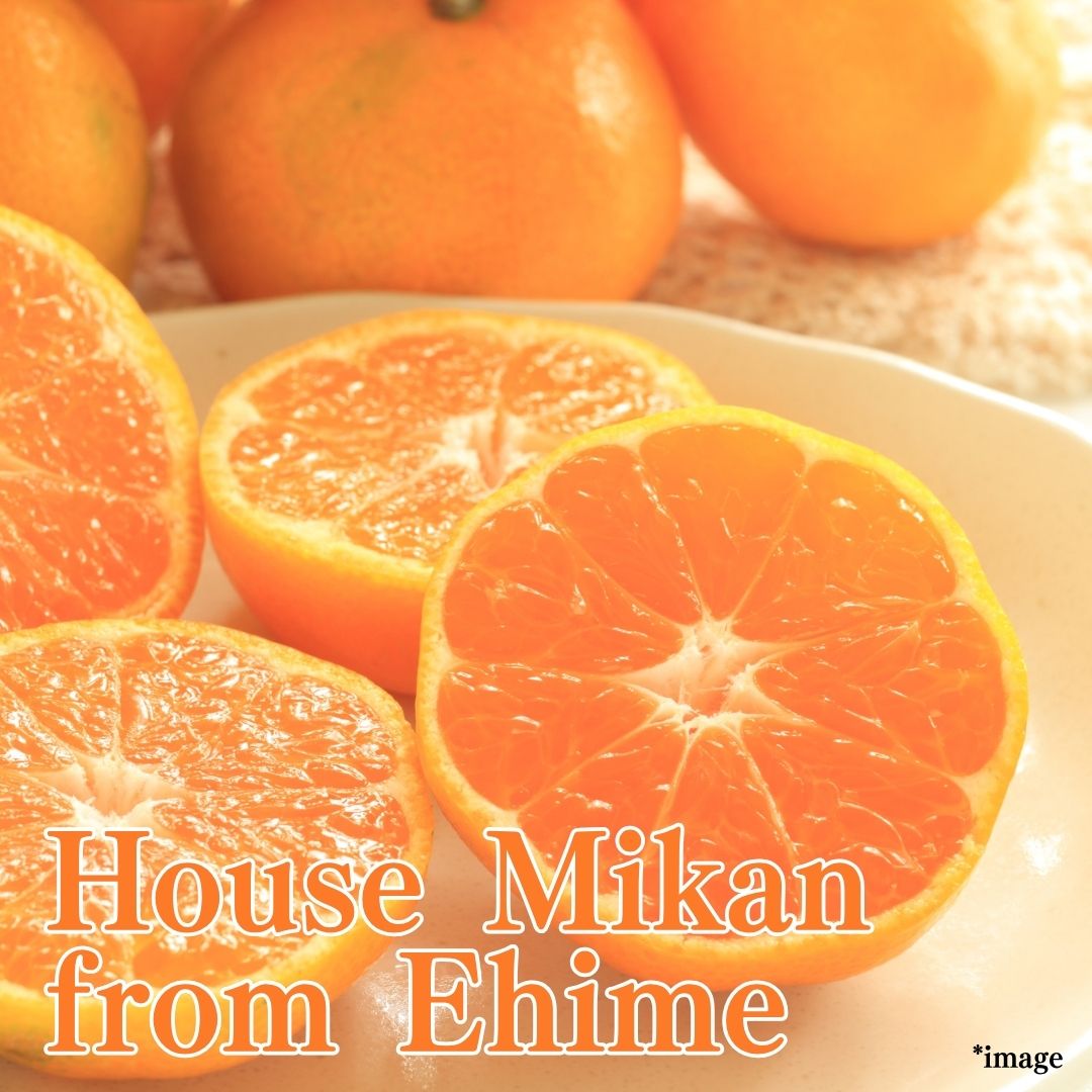 “House Mikan (High Grade)", Juicy, Sweet, Delicately Thin Peel from Ehime, approx.500g | Delivery: 1st~2nd Aug - Tokyo Fresh Direct
