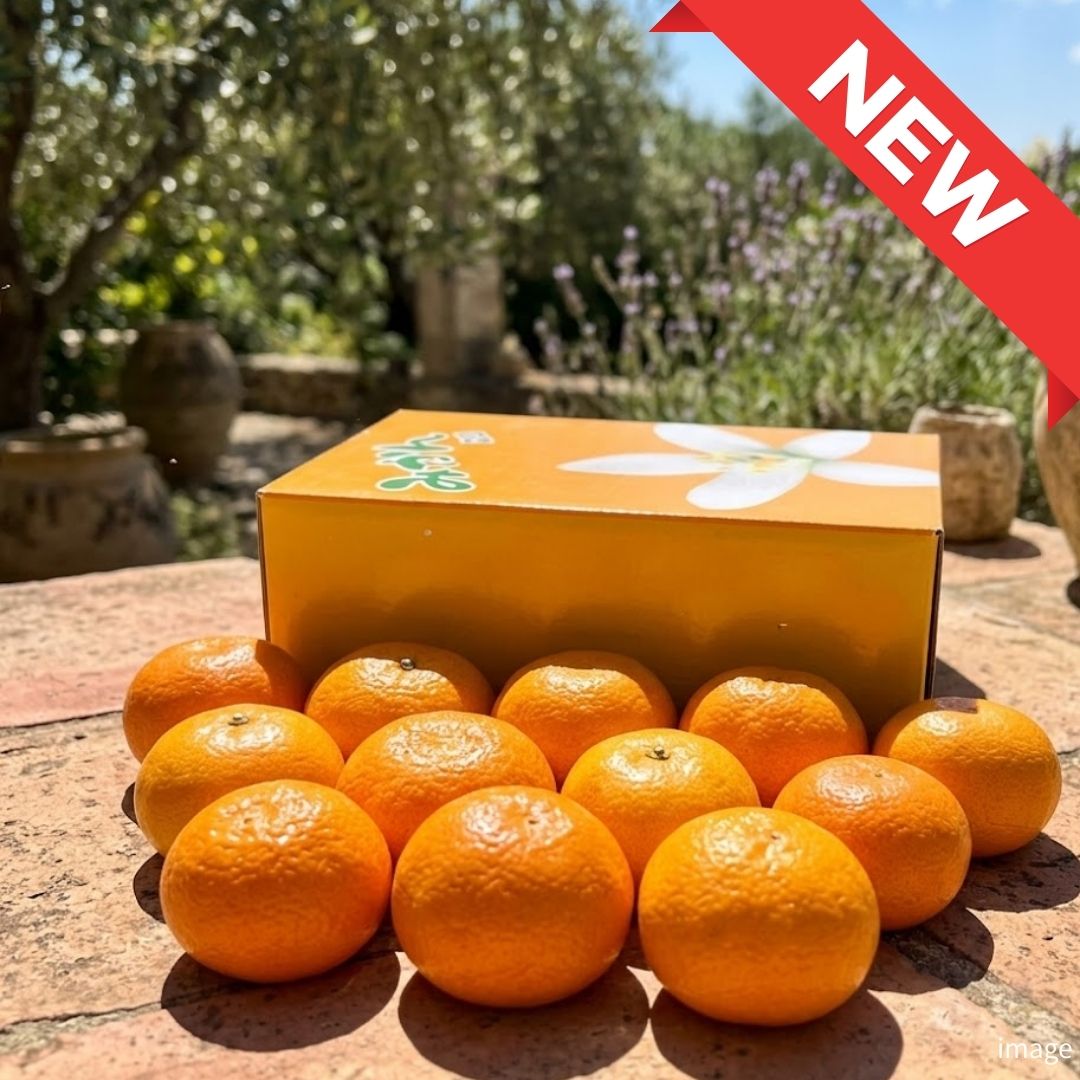 House Mikan [Limited 10 Availability] – Premium Gift Box Approx. 2.5kg | Delivery: 12th - 13th June - TFD (Tokyo Fresh Direct)