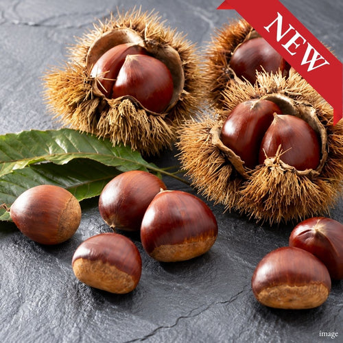 Ibaraki "Japanese Chestnuts", Naturally Sweet and Rich Seasonal Chestnuts with a Soft, Fluffy Texture, 1kg Pack | Delivery: 2nd~3rd Oct