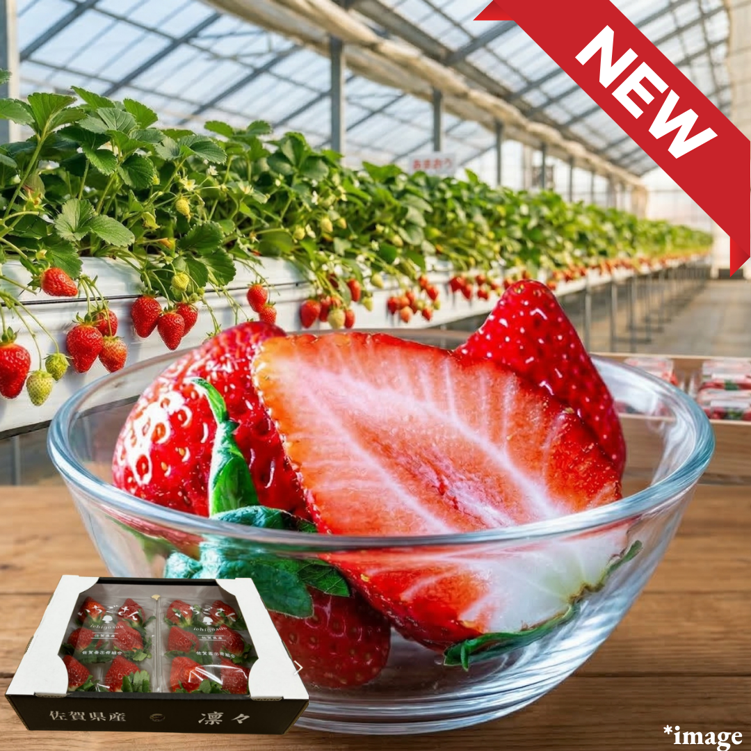 ”Ichigosan (High Grade)”, Beautiful to behold, perfectly balanced in sweetness and tartness — a premium strawberry from Saga., Approx.500g+(2packs) | Delivery: 27th - 28th Mar - TFD (Tokyo Fresh Direct)