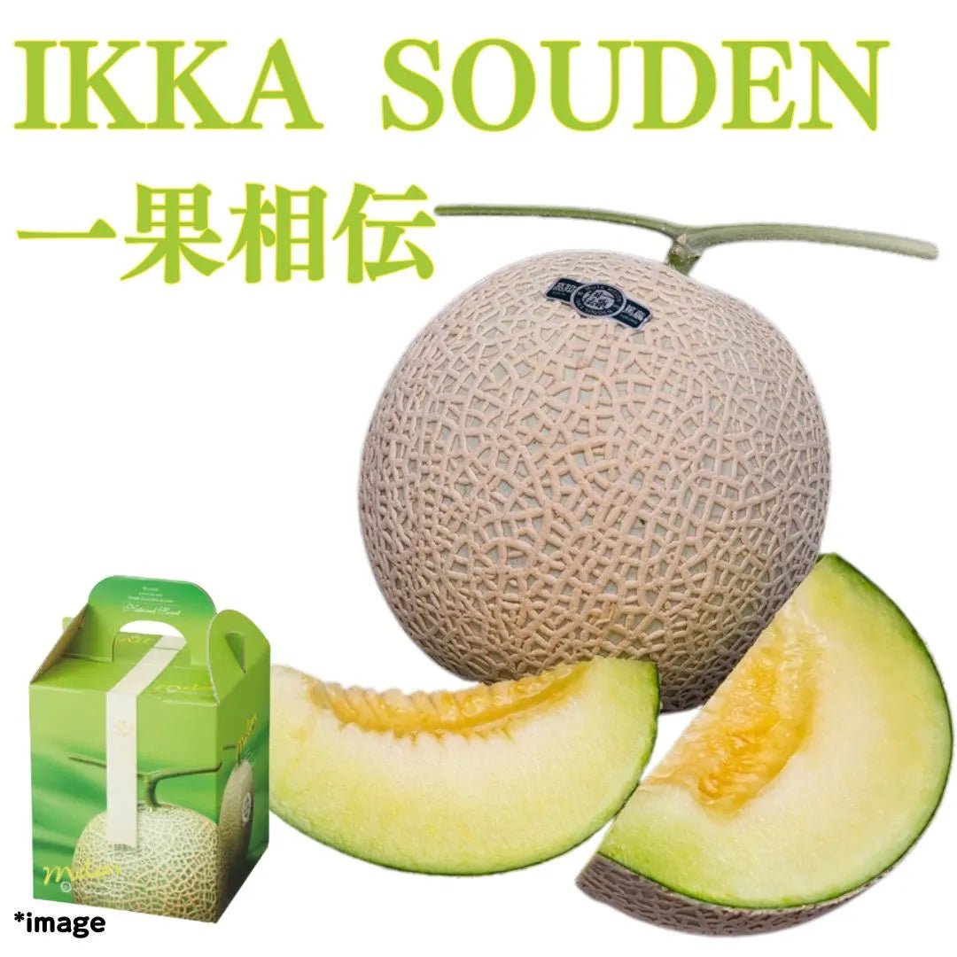 ”Ikka Souden Gift Box" approx.1.5kg, a super - luxury melon that only produces one fruit per tree. from Kochi [Delivery between 28th Feb~1stth Mar] - Tokyo Fresh Direct