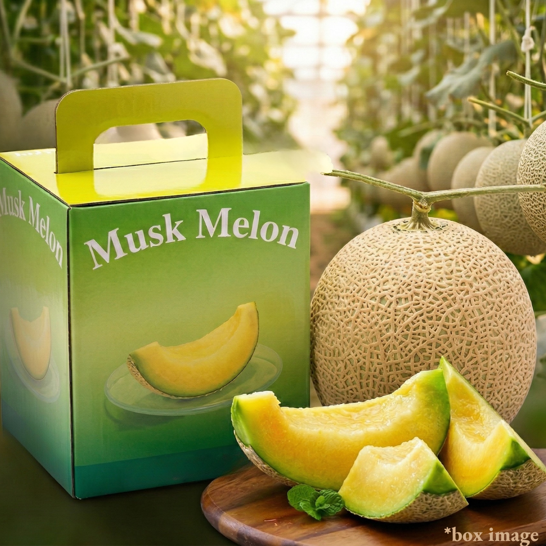 ”Ikka - Souden (Giftbox)", A super - luxury melon that only produces one fruit per tree. from Kochi, Approx.1.5kg | Delivery: 13th - 21st Mar - TFD (Tokyo Fresh Direct)