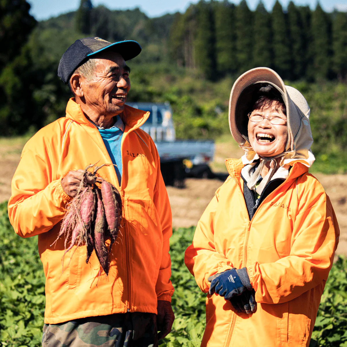 MIYAZAKI SPECIAL BOX Celebrate Chinese New Year with the Spirit of Miyazaki