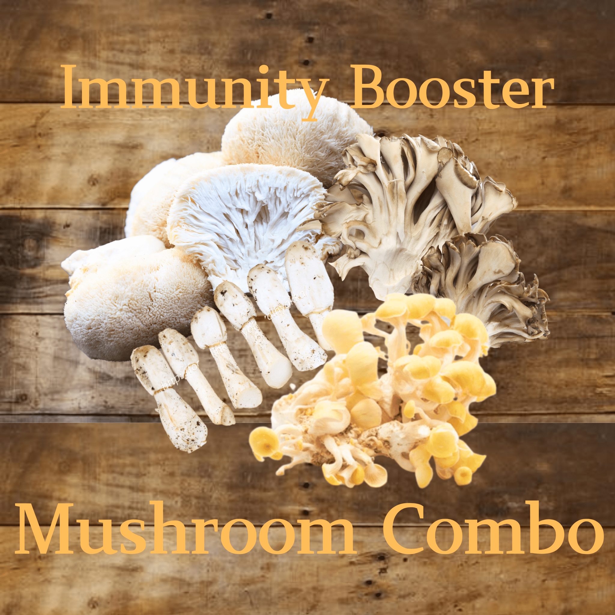 Immunity Booster Mushroom Combo [Delivery between 7th~15th Mar] - Nagano Fair 2025 - Tokyo Fresh Direct