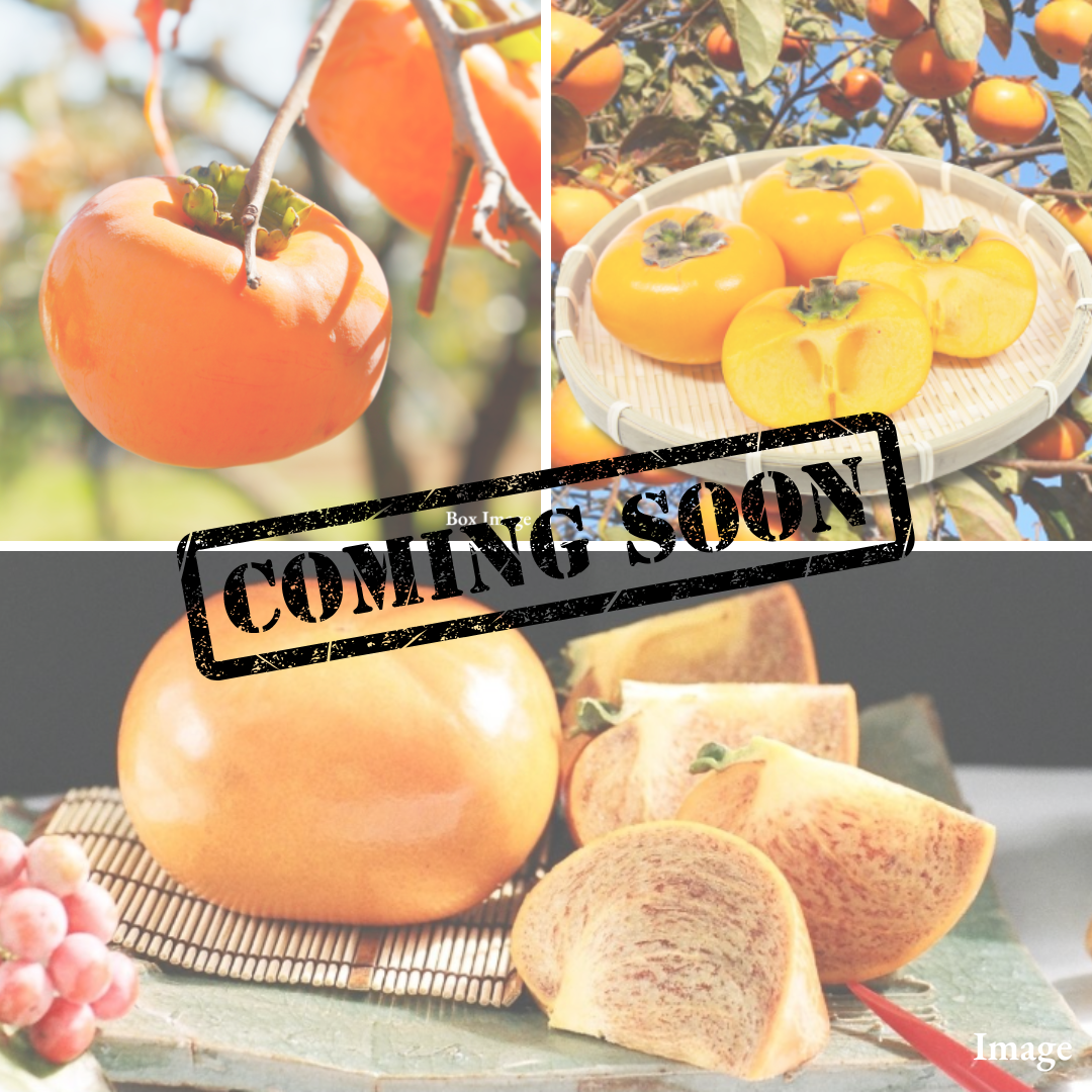 "Japan Persimmon Trio" Kuroama, Shonai & Tone Wase, Three Regional Expressions of Japan’s Seedless Persimmon Tradition (3pcs/approx.750g) | Delivery: 23th~24th Oct - TFD (Tokyo Fresh Direct)