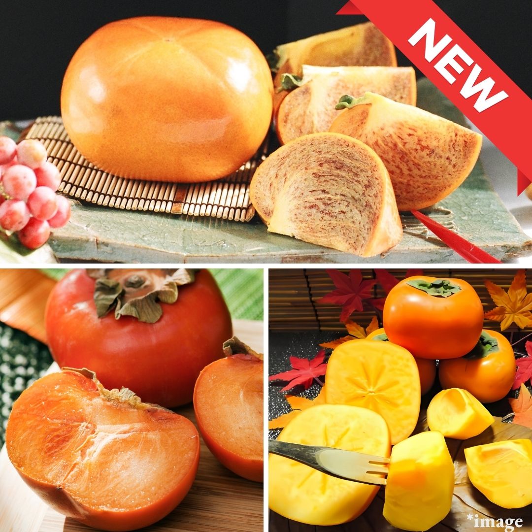 Japanese Autumn Premium Persimmon Three - Type Tasting Set (3pcs/approx.650g) | Delivery: 24th Oct - 1st Nov - Tokyo Fresh Direct