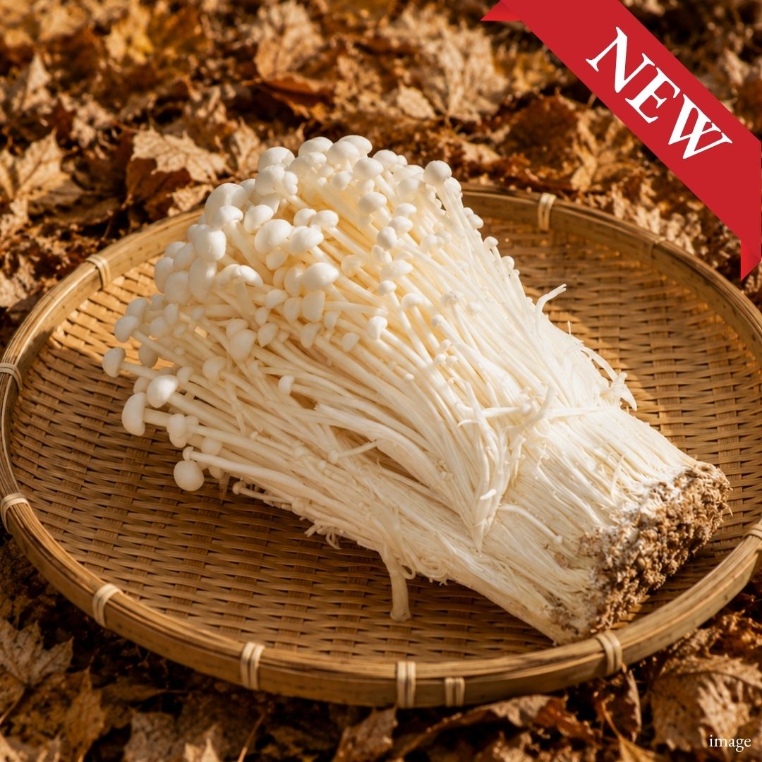 Japanese Enoki Mushroom, 200g / 1 Pack, [Nagano Fair 2026] | Delivery: 18th–19th Sep - TFD (Tokyo Fresh Direct)
