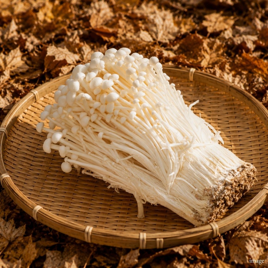 Japanese Enoki Mushroom, 200g / 1 Pack, [Nagano Fair 2026] | Delivery: 18th–19th Sep - TFD (Tokyo Fresh Direct)