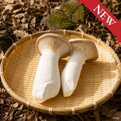 Japanese Eryngii (King Oyster Mushroom), 100g / 1 Pack, [Nagano Fair 2026] | Delivery: 25th–3rd Oct