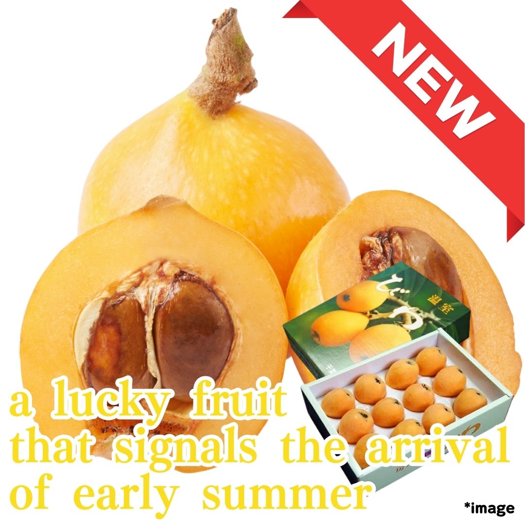 "Japanese loquat Gift Box 1kg (High Grade) ", a lucky fruit that signals the arrival of early summer from Chiba | Delivery: 6th~7th June - Tokyo Fresh Direct